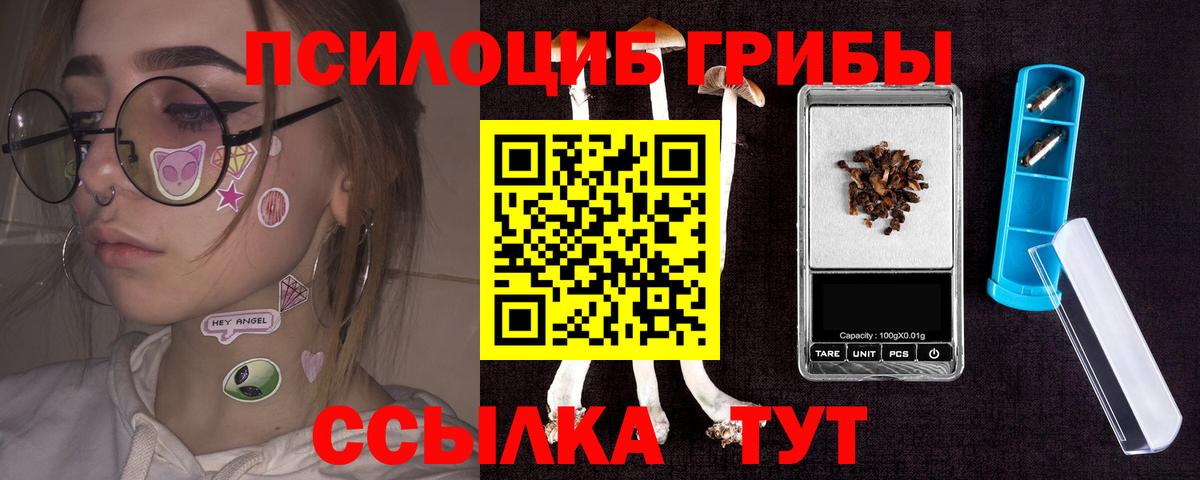 Великий Новгород  Галлюциногенные грибы прущие грибы  Галлюциногенные грибы Psilocybe  Вход с VPN 
