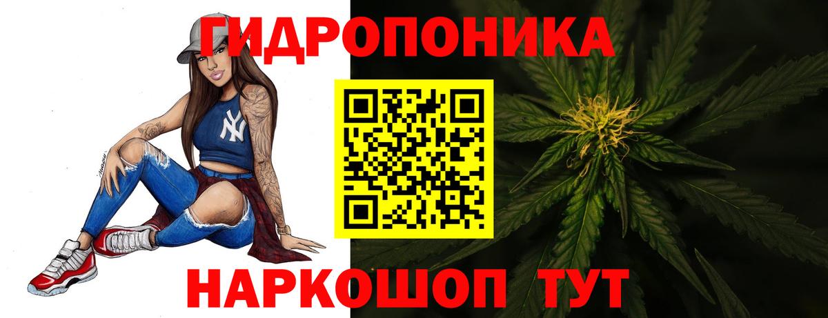 Великий Новгород  Каннабис OG Kush  Марихуана план  Вход с VPN  Шишки марихуана VHQ  МАРИХУАНА Amnesia 